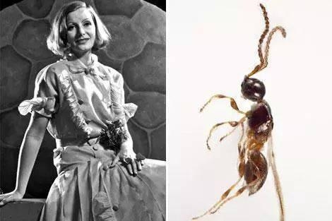 999属兔更佳结婚对象男，属龙男和什么属相最配"