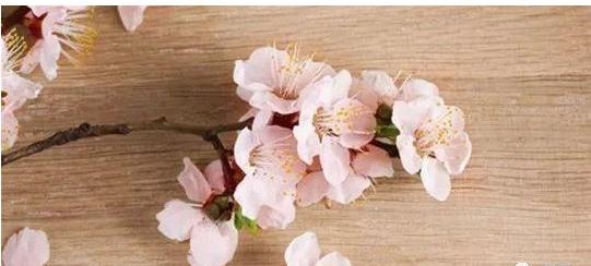 旺桃花运的数字，桃花运旺的面相