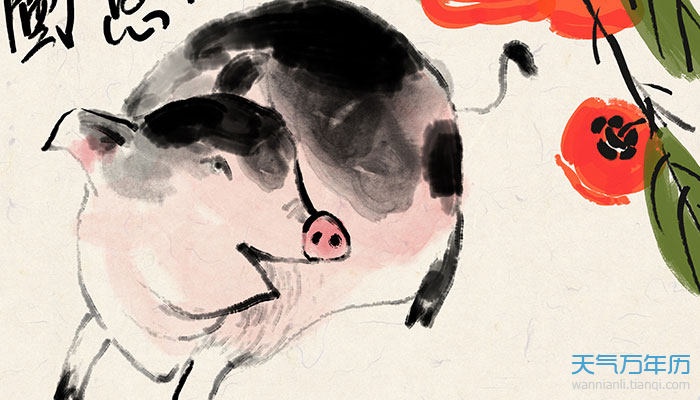 3年属猪二次婚姻在几岁,83年属猪的二婚在什么时候"