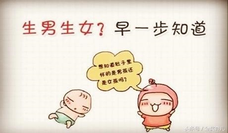 日历查怀孕男女月份,输入怀孕月份算男女