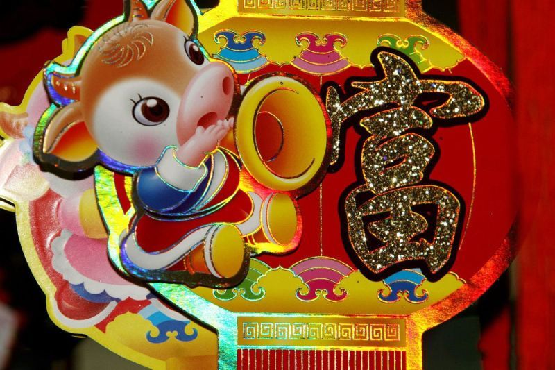 鼠和什么生肖最配，1996年生肖鼠姻缘