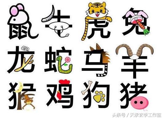 蛇对冲的生肖是什么，猪对冲是什么生肖