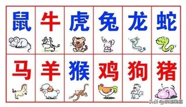 属牛与马配婚姻好不好，牛和马相配吗婚姻相克吗