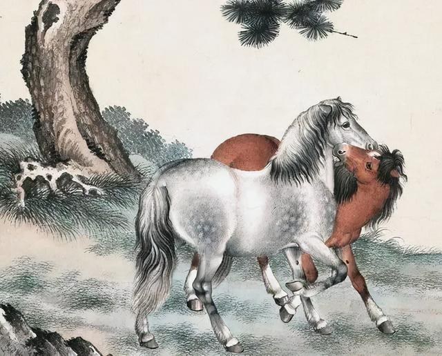 属马之人五行缺什么，属马金命缺什么