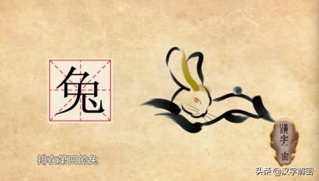 兔的上面是什么属相，兔前面两个生肖