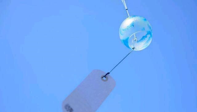 婚姻天注定半点不由人，人各有命不得不信