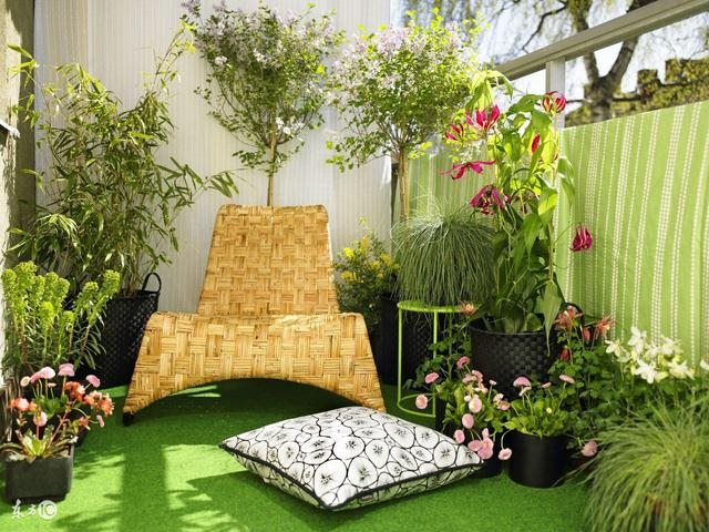 属龙在虎年好不好，龙遇虎年2022年怎么样