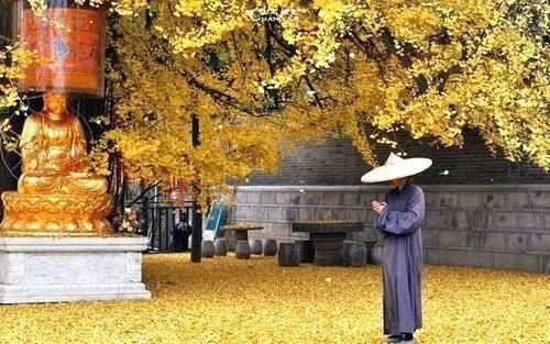 算命另一半的相貌性格，八字中婚姻的另一半远近的象意