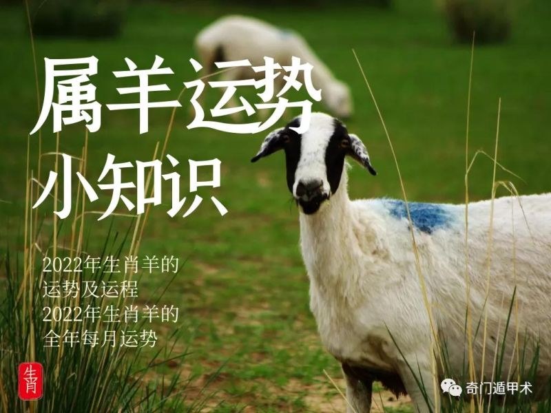 979年属羊2022年运势女，1979年属羊2022年运势及运程"