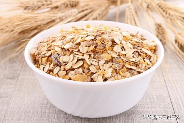养30只兔子一年利润，养哪种兔子利润更大