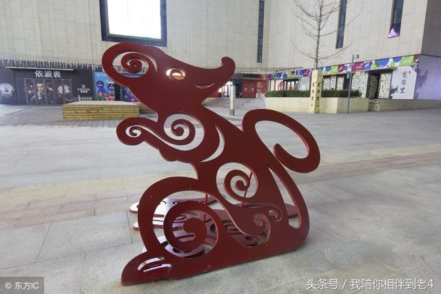 022年属龙人的全年幸运色,2022年属狗的幸运色"