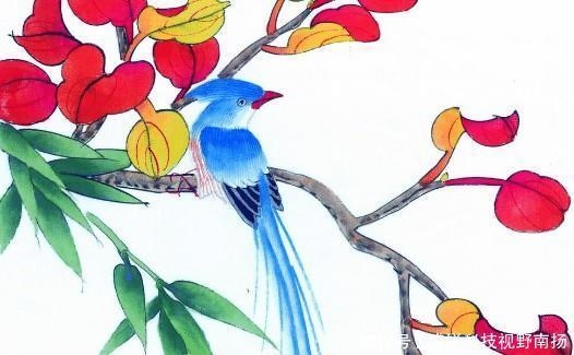 农历几日出生的女孩命运更好，几日出生的女人是丈夫的贵人