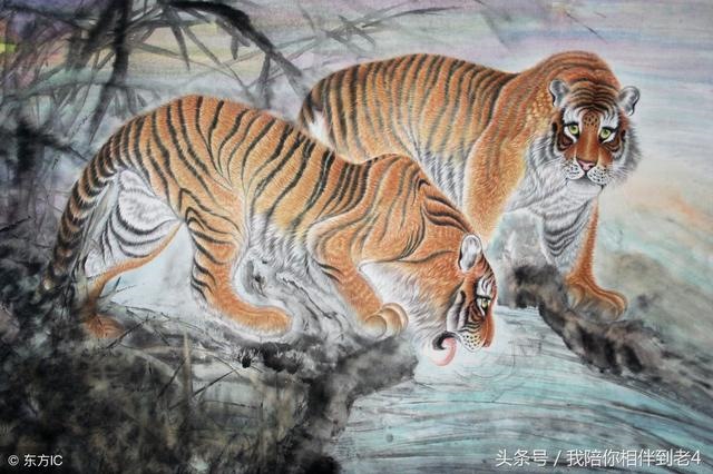 022年属龙人的全年幸运色,2022年属狗的幸运色"