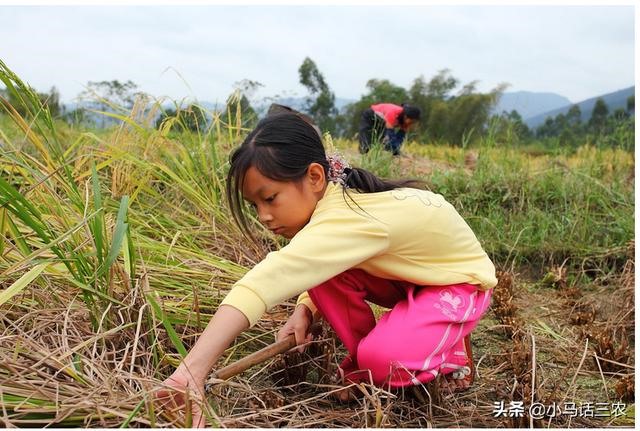 为什么很少人出生在子时，子时是什么时候
