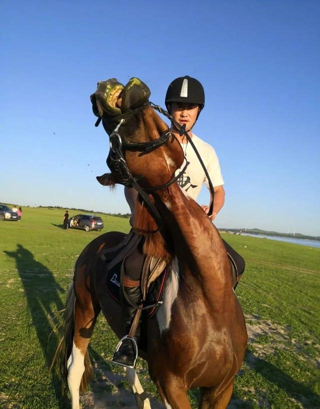 男兔和女马是几等婚姻，几月出生的马最苦