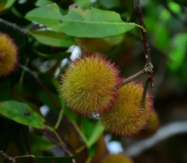 属兔的跟十二生肖里边哪一个最配，生肖兔和兔相配吗
