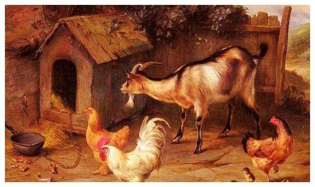 属鸡人一生最克谁，81年属鸡二次婚姻在几岁