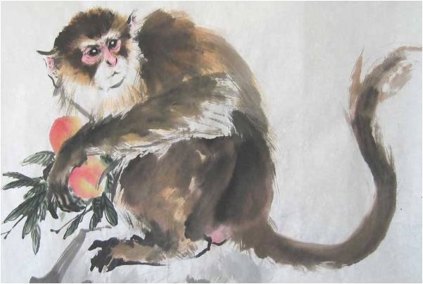 属猴女婚姻配属什么的好，1980属猴的40岁以后