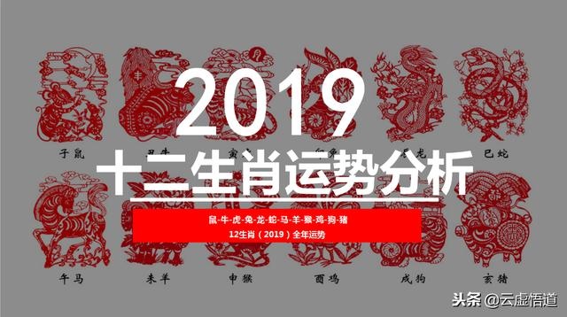 024年运势12生肖运势详解，2022年最顺的生肖"