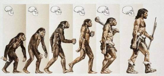 猴一岁相当于人多少岁，属猴的人今年更大多少岁