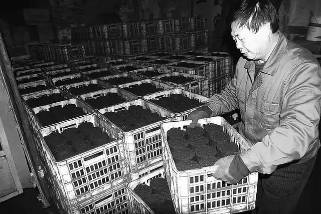 7年炉中火适合住几层，87年住几楼好"