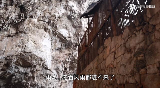 兔遇狗一生走是什么意思，狗兔六合本为亲