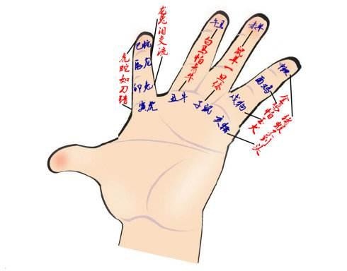 儿女属相与父母相宜相克，家人之间属相相克