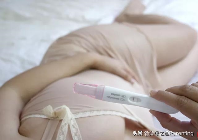 排卵几天碱性最强，碱性食物一览表