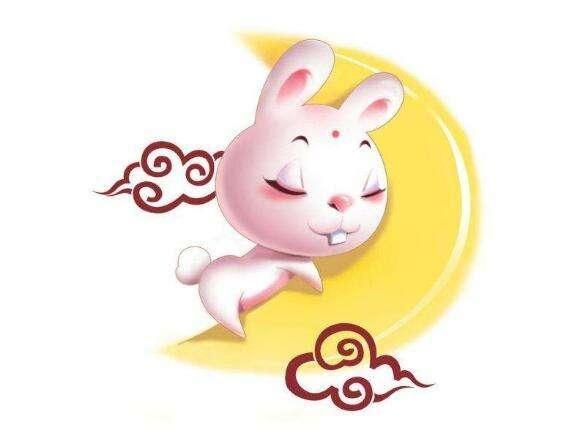 属兔今年下半年运程，属兔生肖本周运势查询