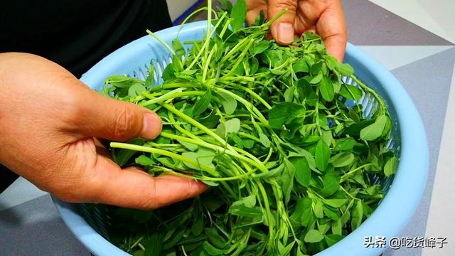 属兔人最富贵的出生时辰，生肖兔几月出生财运旺