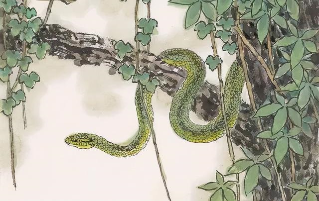 属马之人五行缺什么，属马金命缺什么