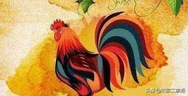 属兔女最忌什么属相，属兔结婚伴娘忌讳属相