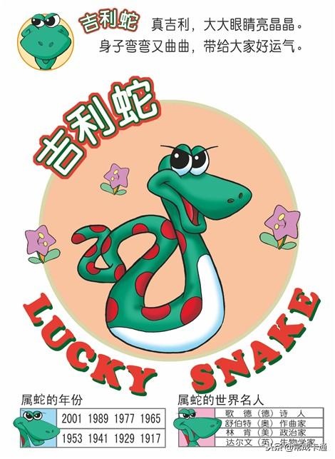 十二生肖资料www，90版十二生肖电影