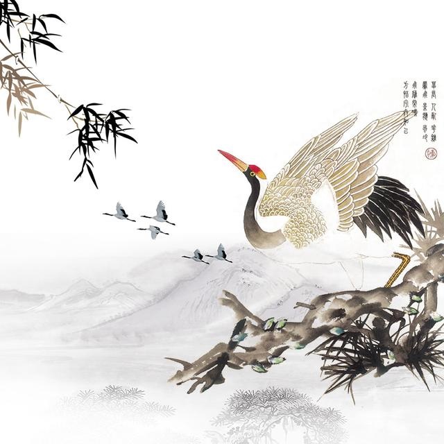 桃花的寓意和象征风水，桃花为什么代表爱情