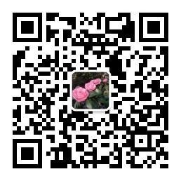 什么时辰出生的是富贵命，男孩出生的更佳时辰