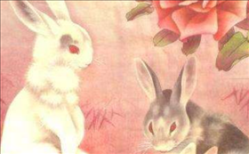 975年属兔运程2022年,1975年属兔女2022年运势"