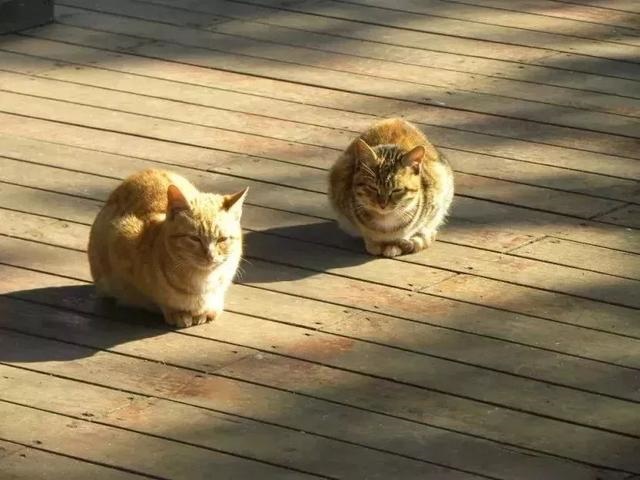 7年炉中火适合住几层，87年住几楼好"