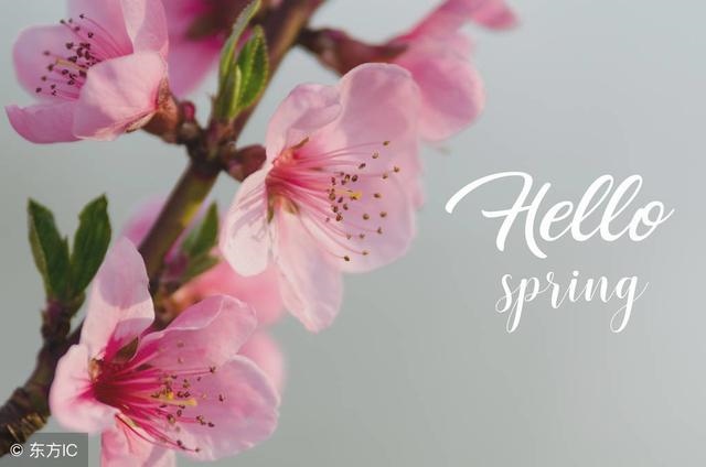 桃花运是指有人追吗，正缘会被别人追走吗