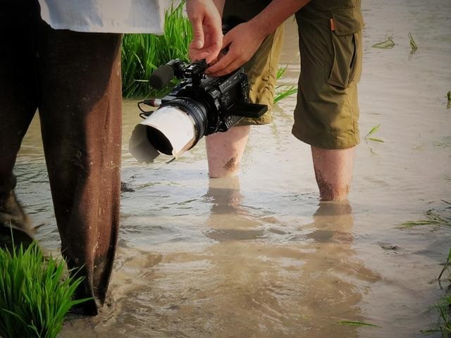 看脚命运示意图，女人有川字纹大富大贵
