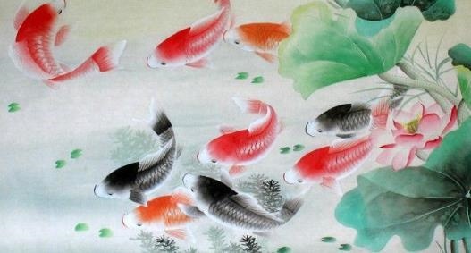 命特别好的生肖女，命苦的三个生肖女