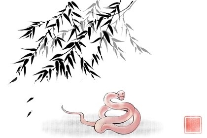 属蛇2022年运程,2022年各生肖运程