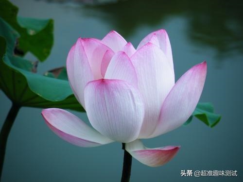 测测两个人有没有夫妻缘，测另一半什么时候遇见