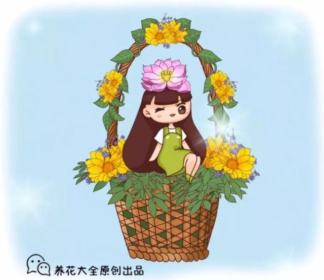 屬猴的都是哪一年生人，屬猴的哪一年犯太歲