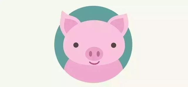 麦玲玲2022年属虎，1986年属虎35岁后享福