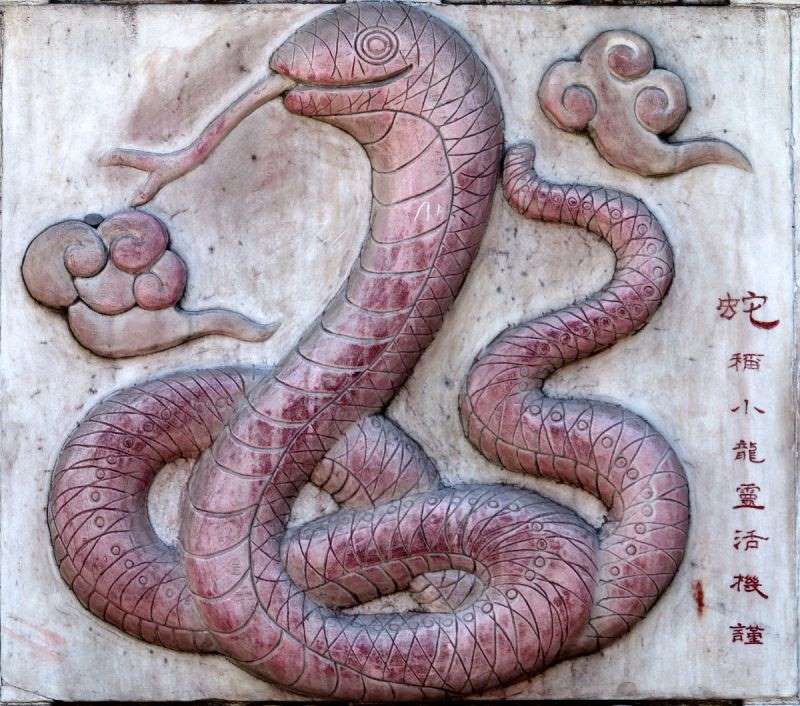 7年属蛇男2022年运势，77年蛇女在2022年的运势"