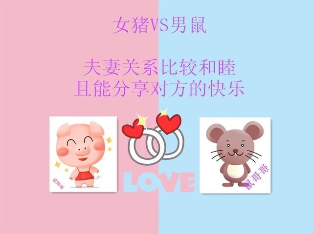 属鼠嫁给属鼠的好吗，72年属鼠女人床上表现