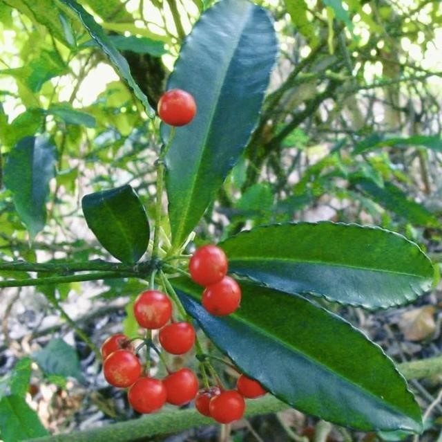 属兔的跟十二生肖里边哪一个最配，生肖兔和兔相配吗