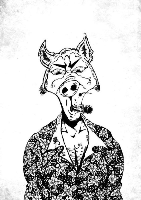 011年属兔女一生学业，2011属兔命运"