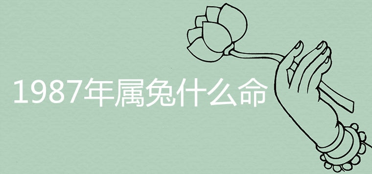 9年属兔运势2022，2022