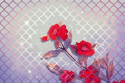 属兔和属牛的婚姻配吗，属兔男和属鼠女婚姻相配吗